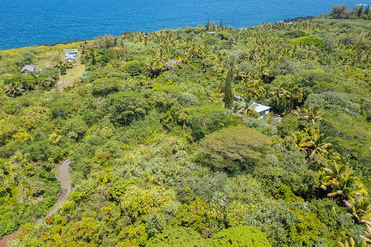70 Government Beach Road Pahoa, HI 96778 - Photo 27 of 30 Gallery Image 27