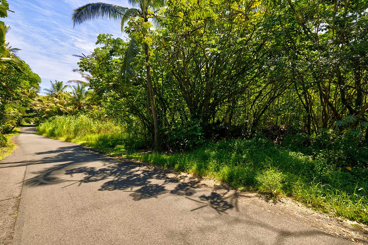 70 Government Beach Road Pahoa, HI 96778 - Photo 28 of 30 Gallery Image 28