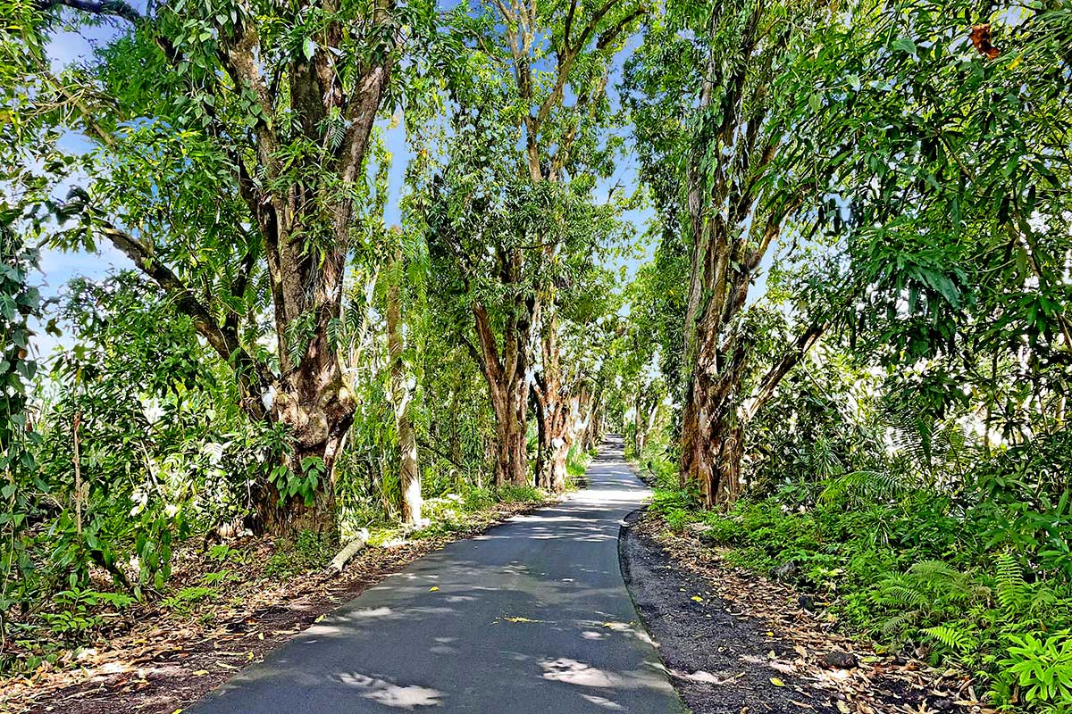70 Government Beach Road Pahoa, HI 96778 - Photo 30 of 30 Gallery Image 30