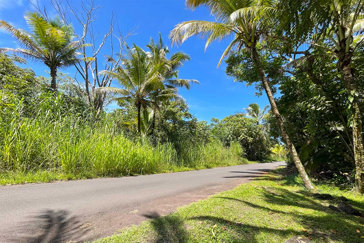 70 Government Beach Road Pahoa, HI 96778 - Photo 4 of 30 Gallery Image 4