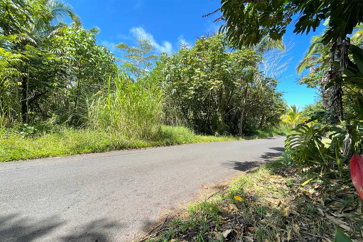 70 Government Beach Road Pahoa, HI 96778 - Photo 5 of 30 Gallery Image 5