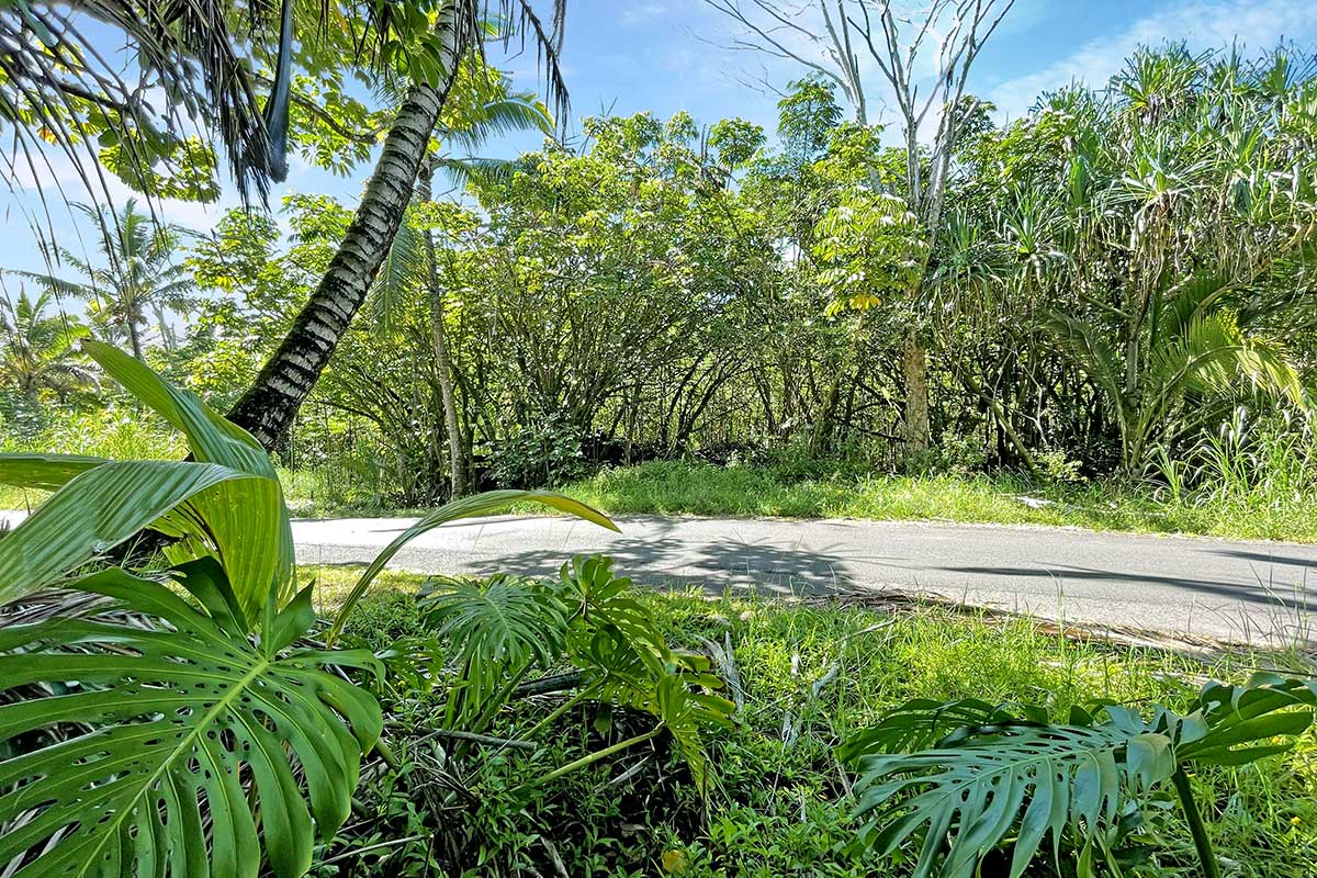 70 Government Beach Road Pahoa, HI 96778 - Photo 6 of 30 Gallery Image 6