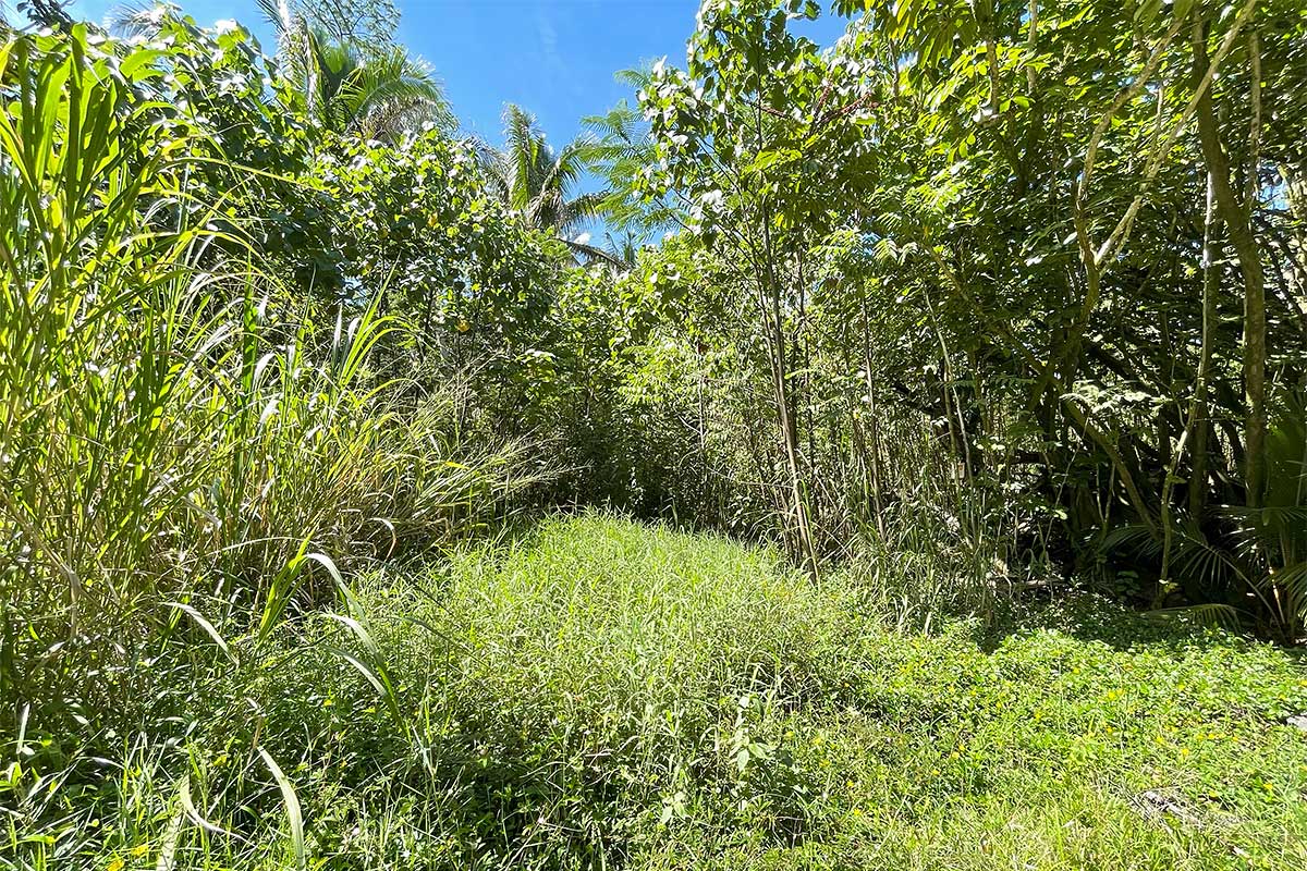 70 Government Beach Road Pahoa, HI 96778 - Photo 7 of 30 Gallery Image 7