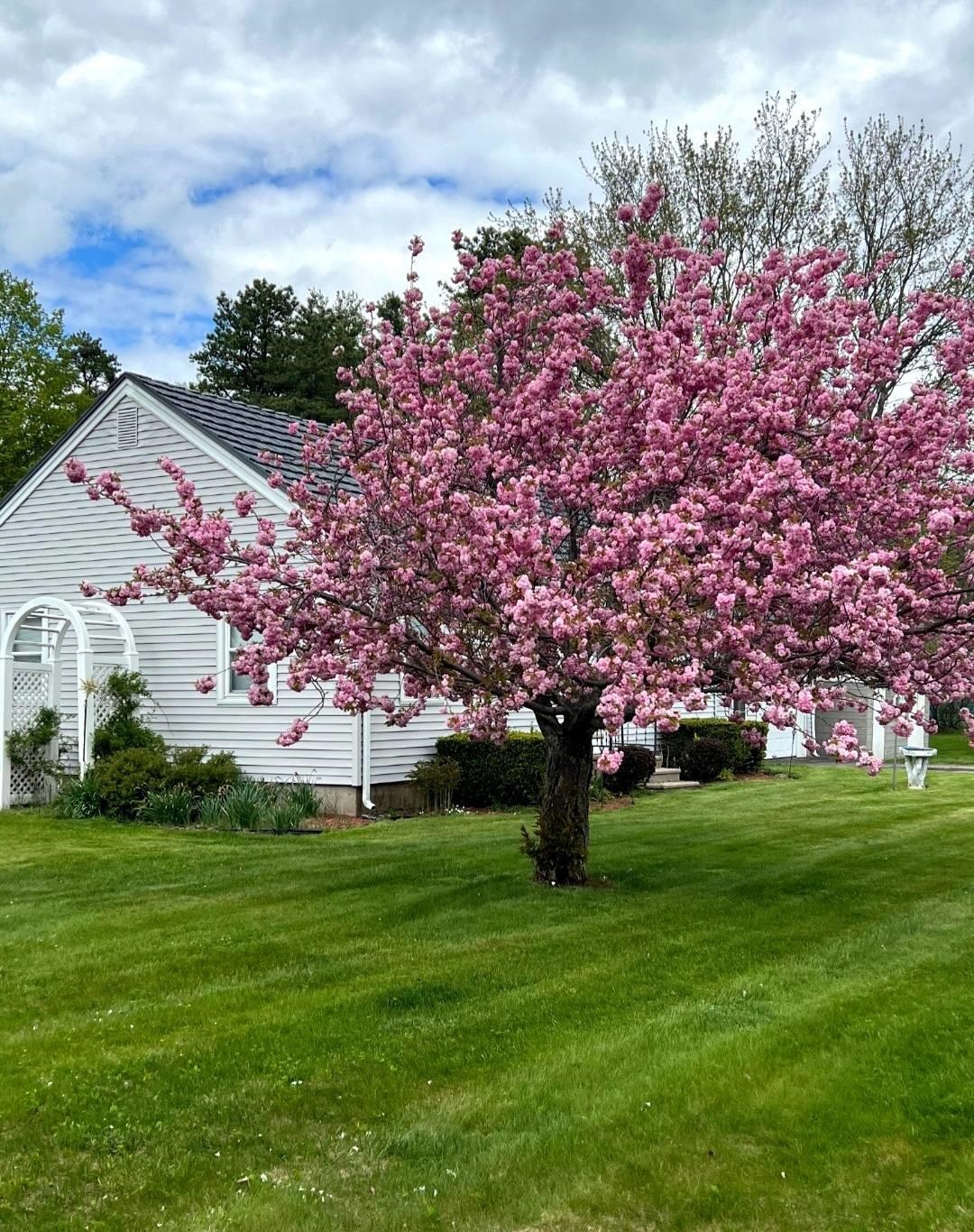 43 Branch Turnpike Concord, NH 03301 - Photo 2 of 23