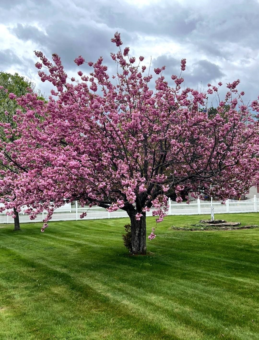 43 Branch Turnpike Concord, NH 03301 - Photo 3 of 23