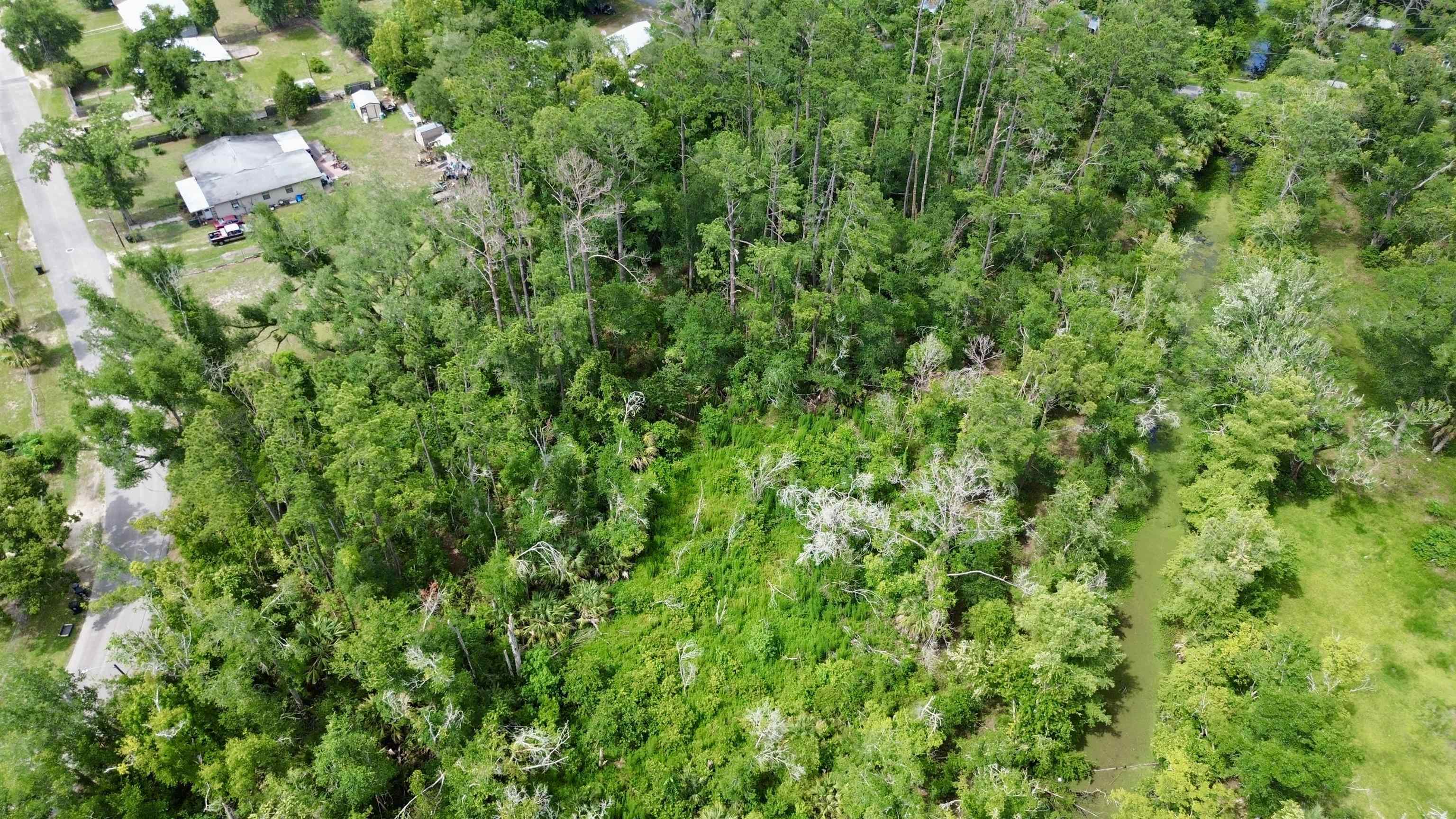 0 North Calhoun Street Perry, FL 32347 - Photo 2 of 10