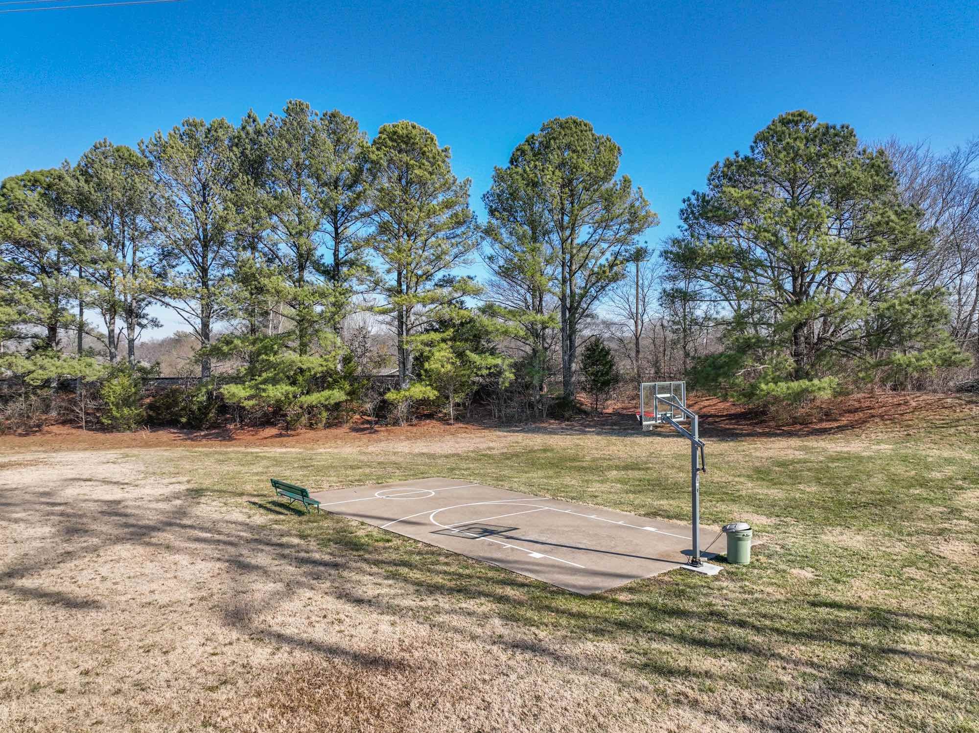 875 General George Patton Road Nashville, TN 37221 - Photo 42 of 42 a view of a yard with palm trees