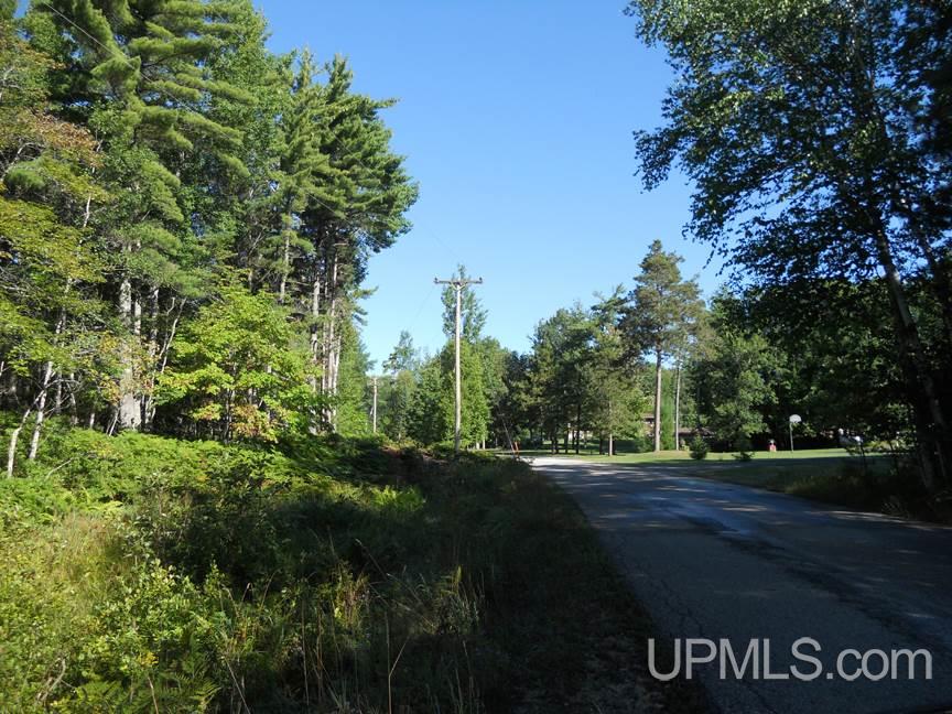 Tbd South Michigan Shores Road Gulliver, MI 49840 - Photo 2 of 7 Gallery Image 2