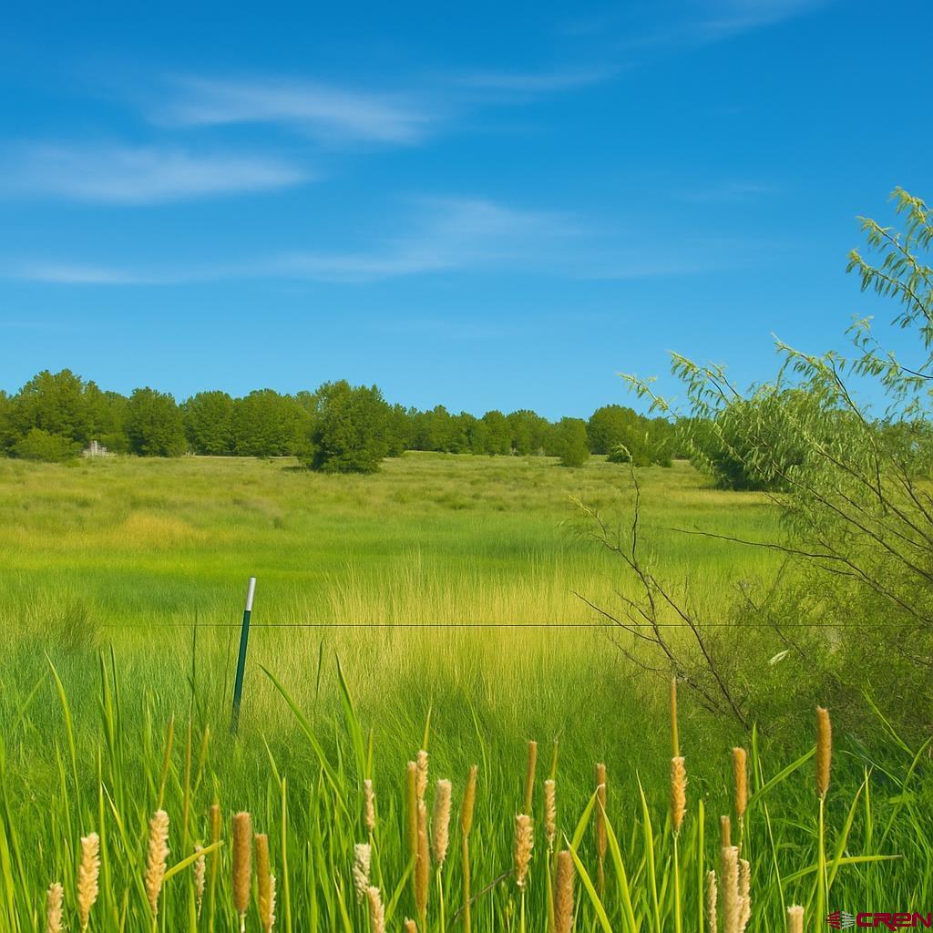 21769 Rd V Lewis, CO 81327 - Photo 14 of 15 a view of an ocean from a balcony