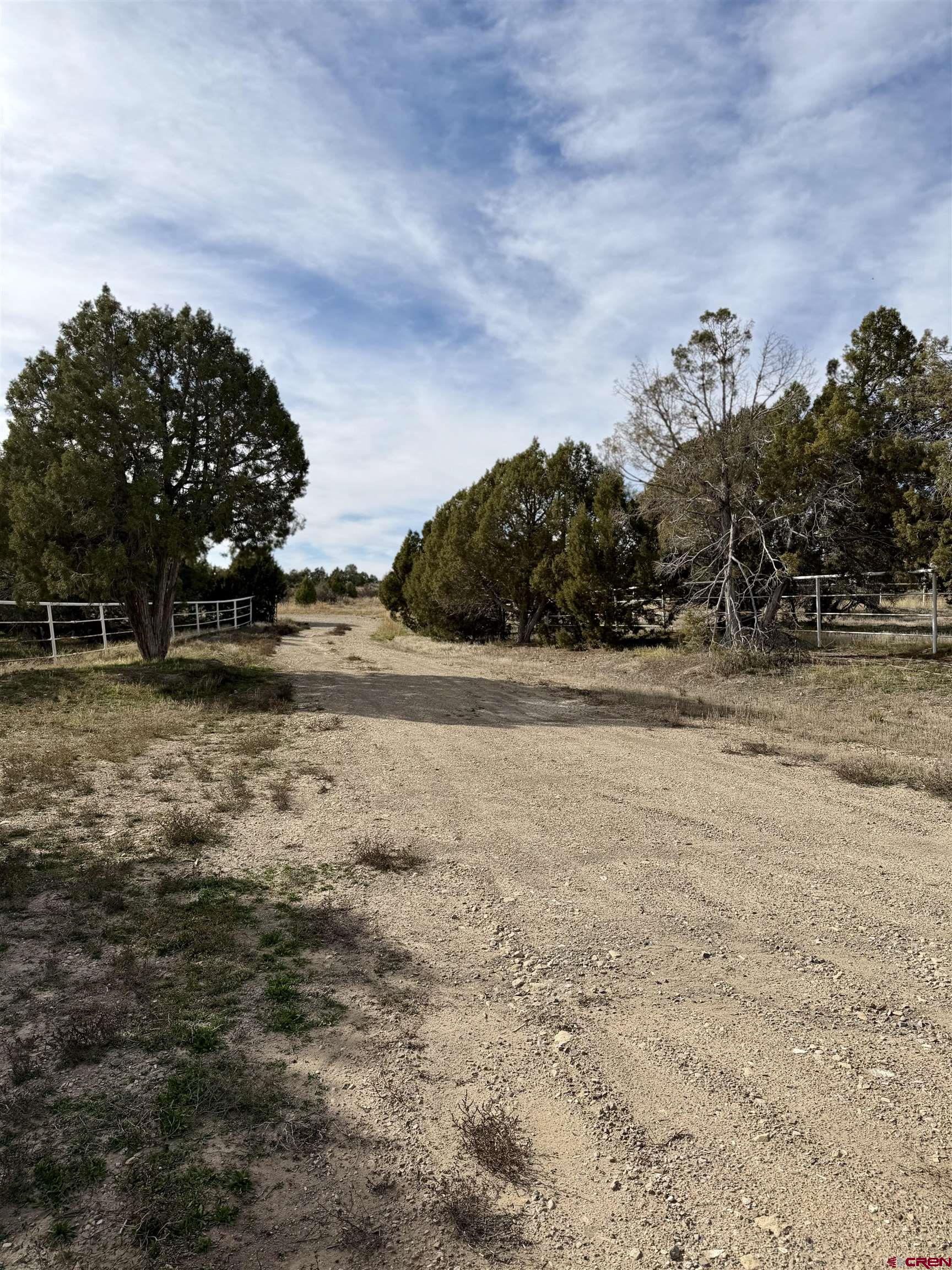 21769 Rd V Lewis, CO 81327 - Photo 3 of 15 a view of a yard