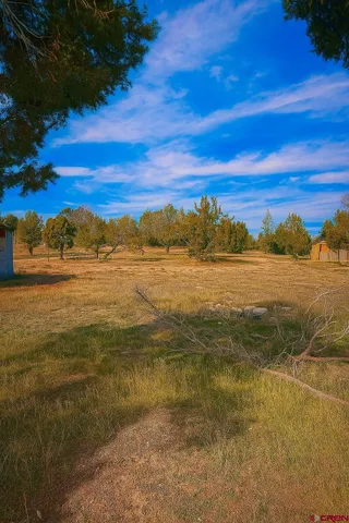 a view of an ocean from a beach