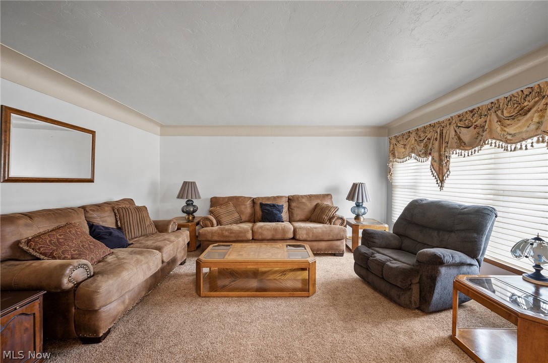 4113 Rabbit Run Drive Brooklyn, OH 44144 - Photo 13 of 28 View of carpeted living room