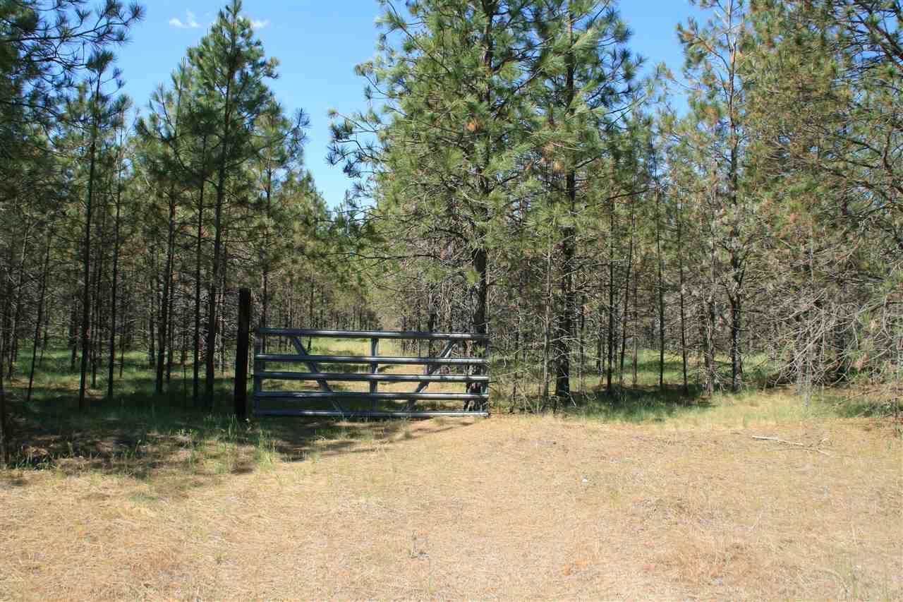 Lot 16 North Bruce Road Chattaroy, WA 99003 - Photo 1 of 6 Gallery Image 1