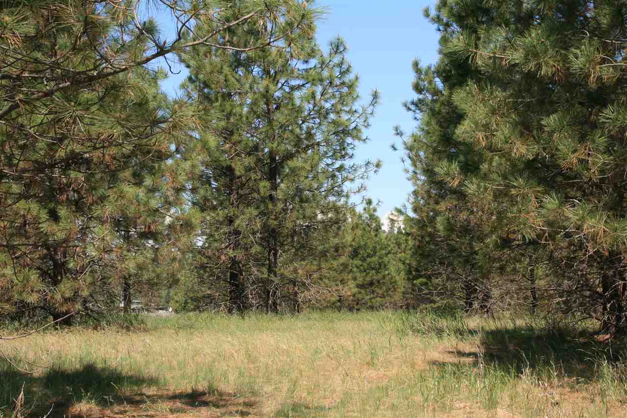 Lot 16 North Bruce Road Chattaroy, WA 99003 - Photo 2 of 6 Gallery Image 2