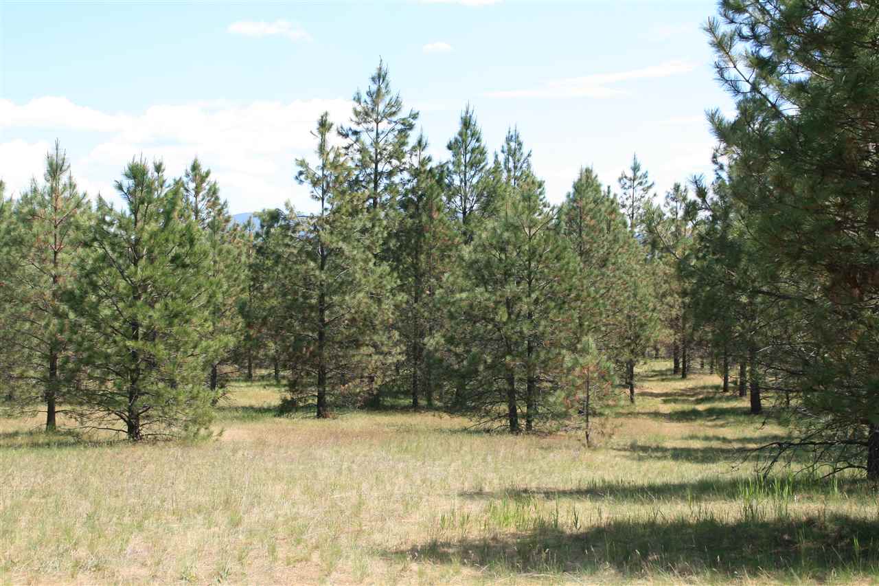 Lot 16 North Bruce Road Chattaroy, WA 99003 - Photo 3 of 6 Gallery Image 3