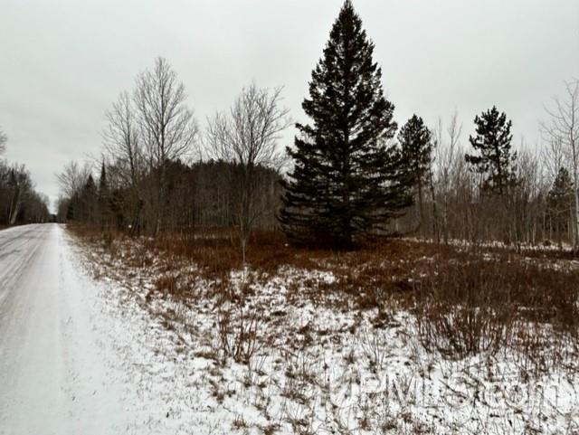 Tbd5 Larson Road Atlantic Mine, MI 49905 - Photo 50 of 56 Gallery Image 50