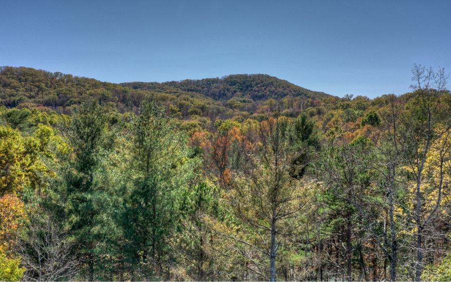79-ac Loving Road Morganton, GA 30560 - Photo 4 of 4 Additional View