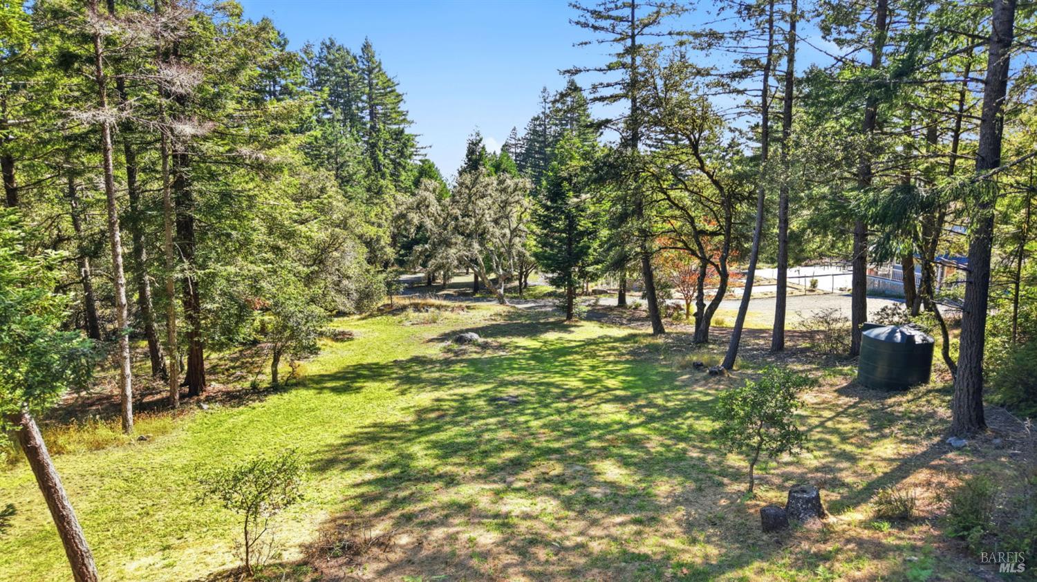 17375 Willow Creek Road Occidental, CA 95465 - Photo 76 of 94