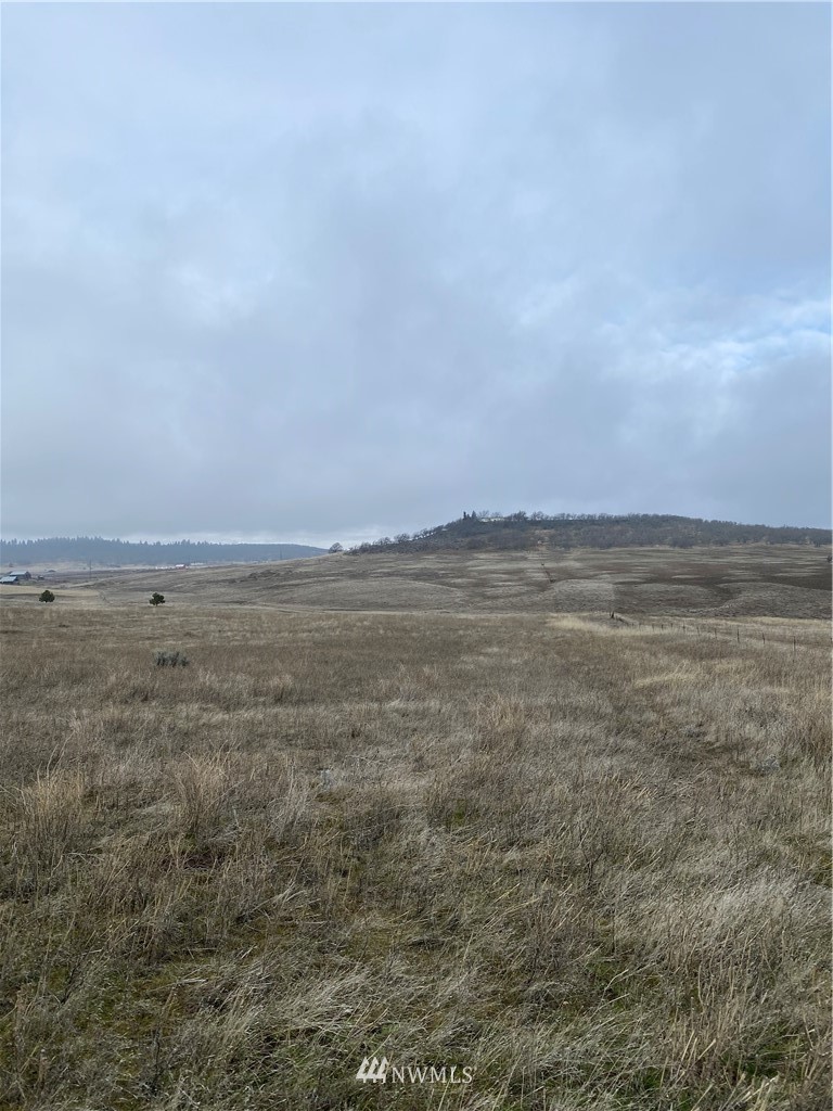 9 Coco Lane Goldendale, WA 98620 - Photo 5 of 6 Gallery Image 5
