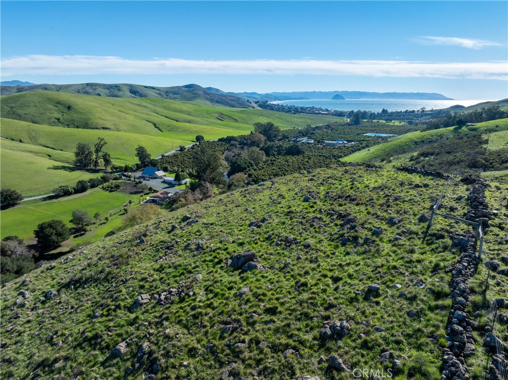 1155 Cayucos Creek Road Cayucos, CA 93430 - Photo 11 of 75 a view of a lush green forest with a houses