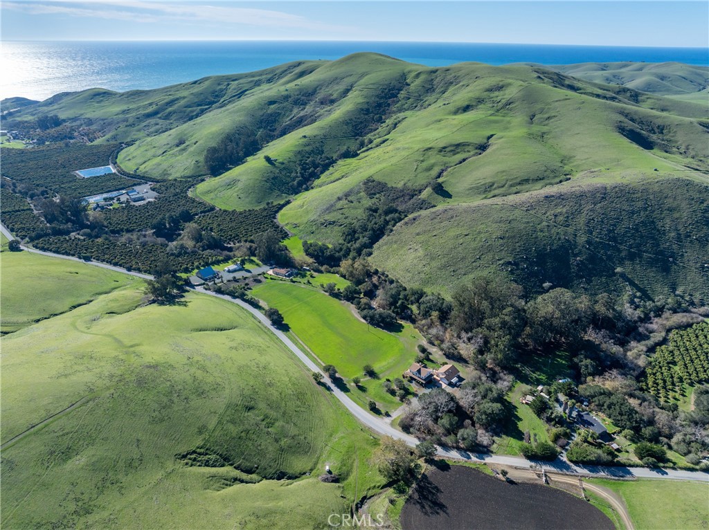 1155 Cayucos Creek Road Cayucos, CA 93430 - Photo 13 of 75 a view of a lush green forest with lots of trees