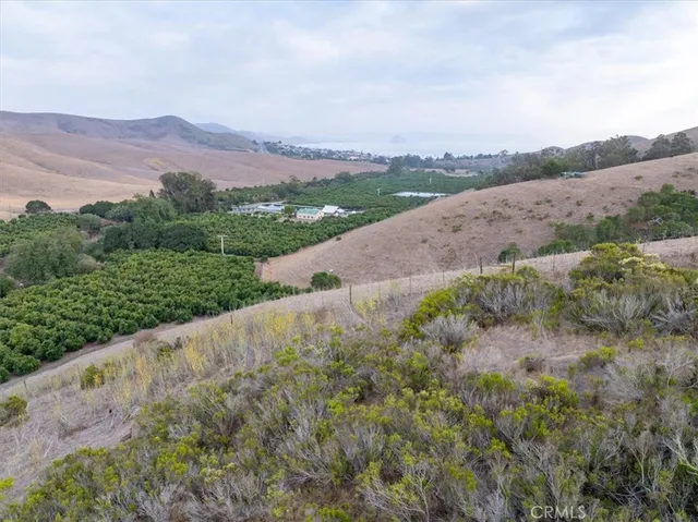 a view of a house with a big yard plants and large trees
