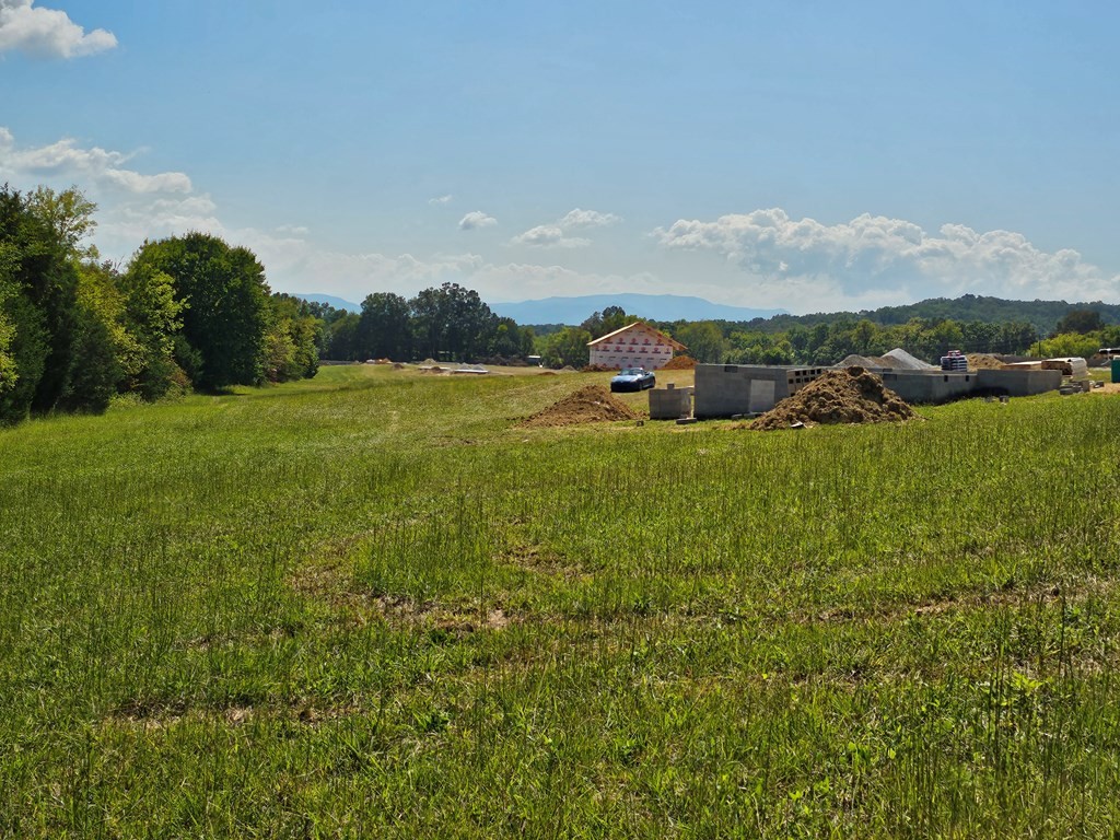 306 Harrison Ferry Road Baneberry, TN 37890 - Photo 7 of 9 Gallery Image 7