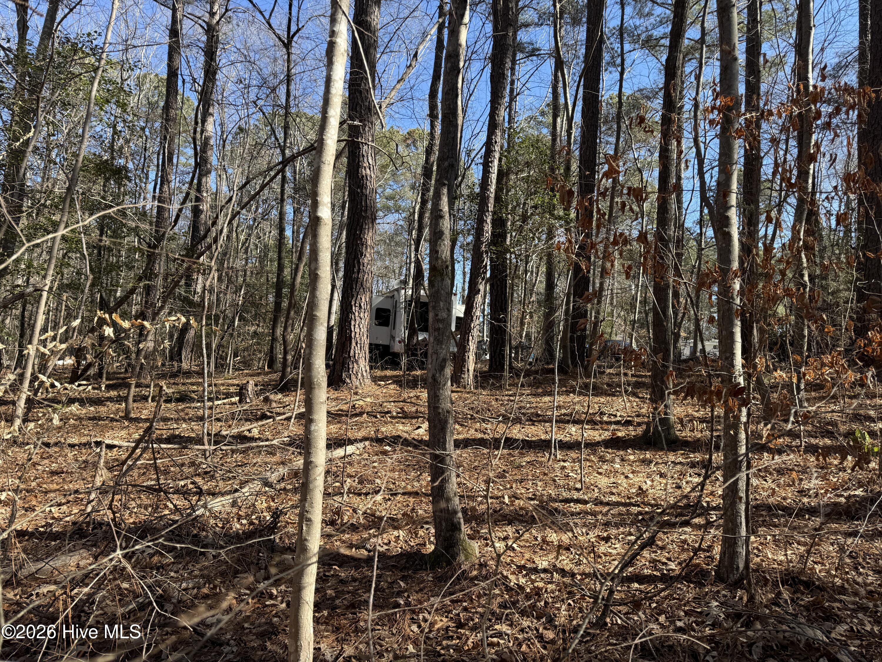 126 Poma Drive Spring Hope, NC 27882 - Photo 5 of 8 IMG_5951