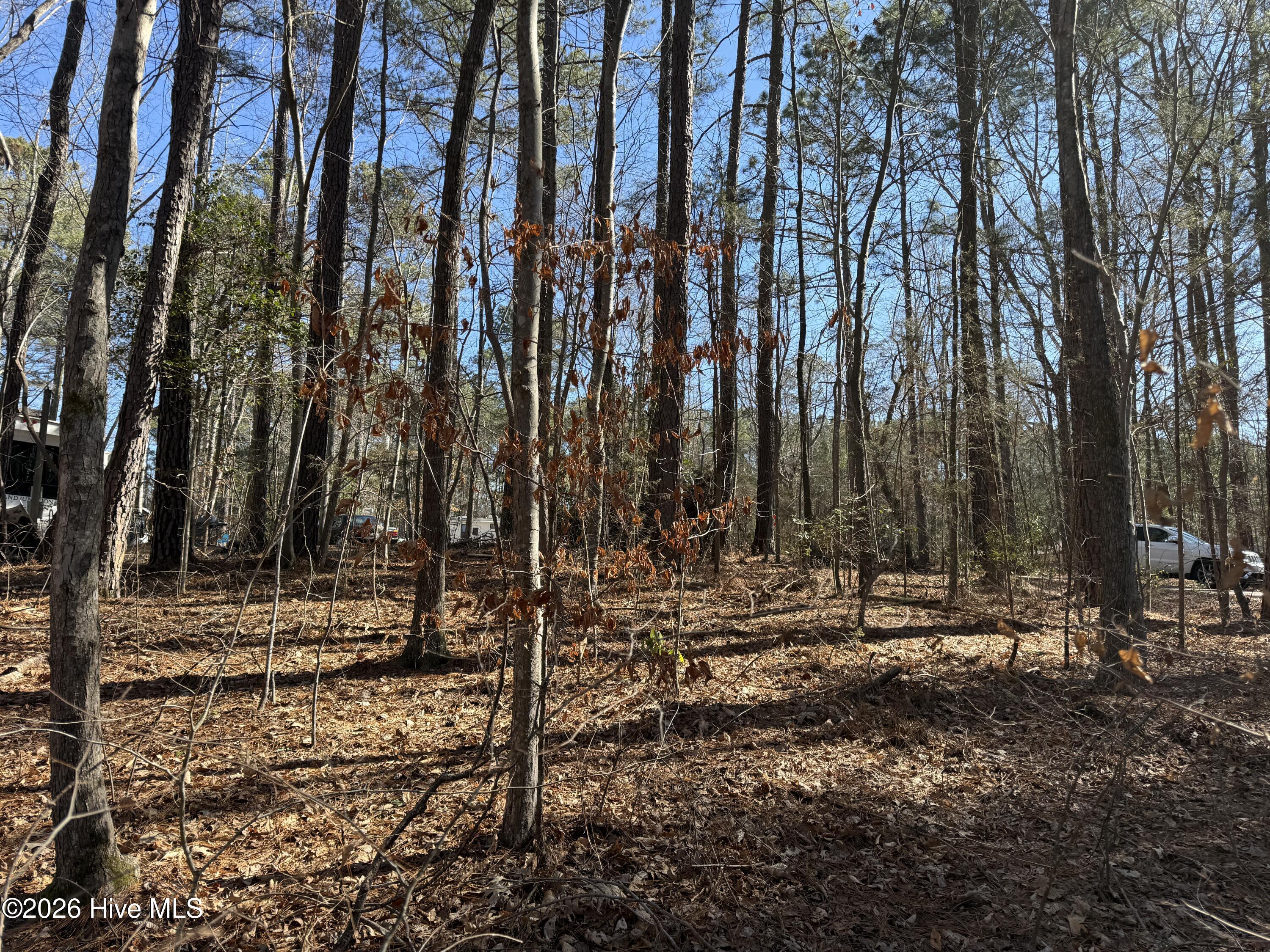 126 Poma Drive Spring Hope, NC 27882 - Photo 6 of 8 IMG_5952