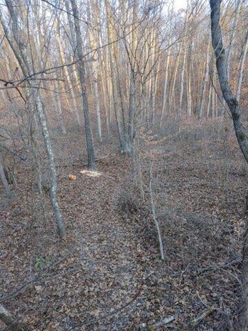 57640 St John Road Quaker City, OH 43773 - Photo 19 of 51 Trail