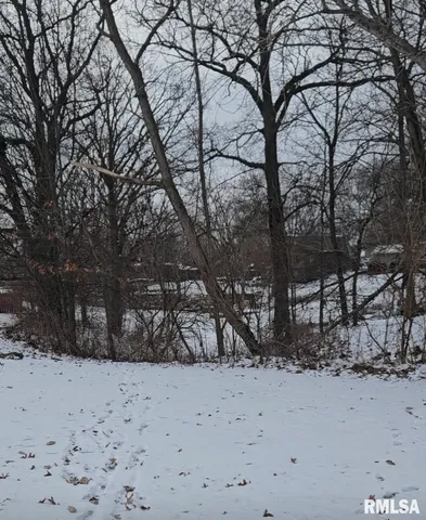 $5,000 | Lot 430 South Newcastle Court, Mapleton, IL 61547