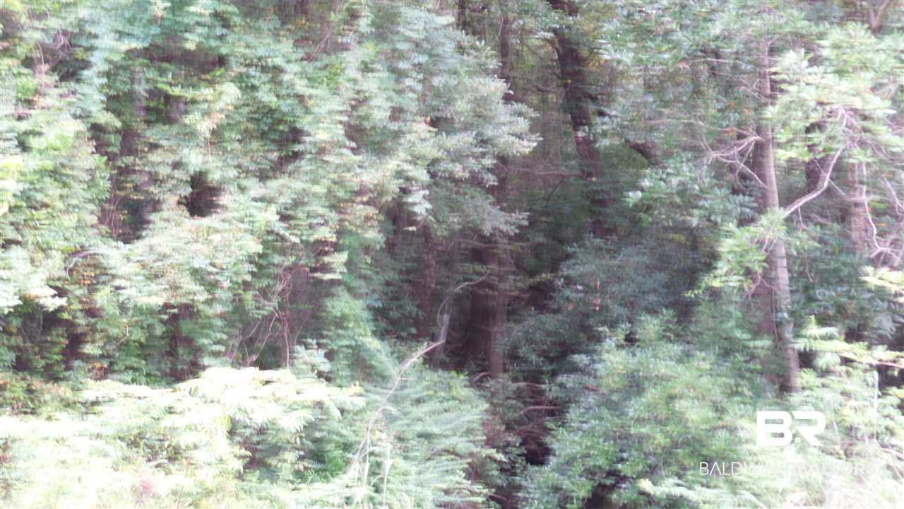 16851 Highway 182 Jay, FL 32565 - Photo 14 of 23