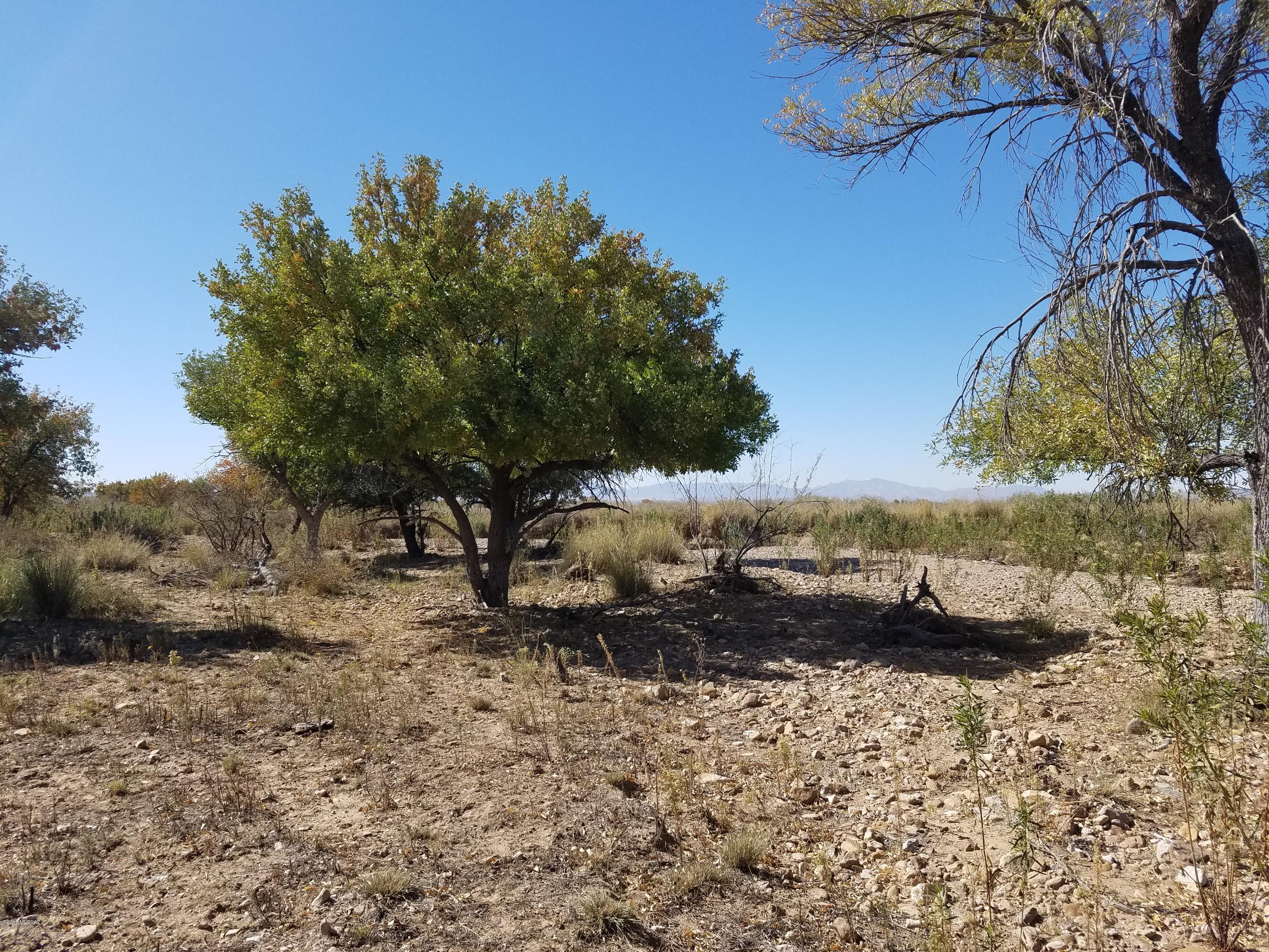 South Catclaw Road, Unit 320 Pearce, AZ 85625 - Photo 20 of 49