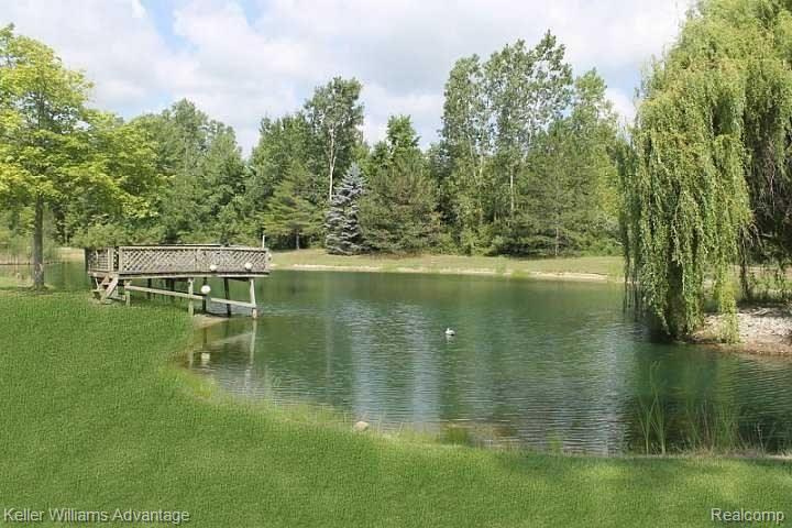 6097 Stout Road Carleton, MI 48117 - Photo 33 of 36 Pond 1.jpg