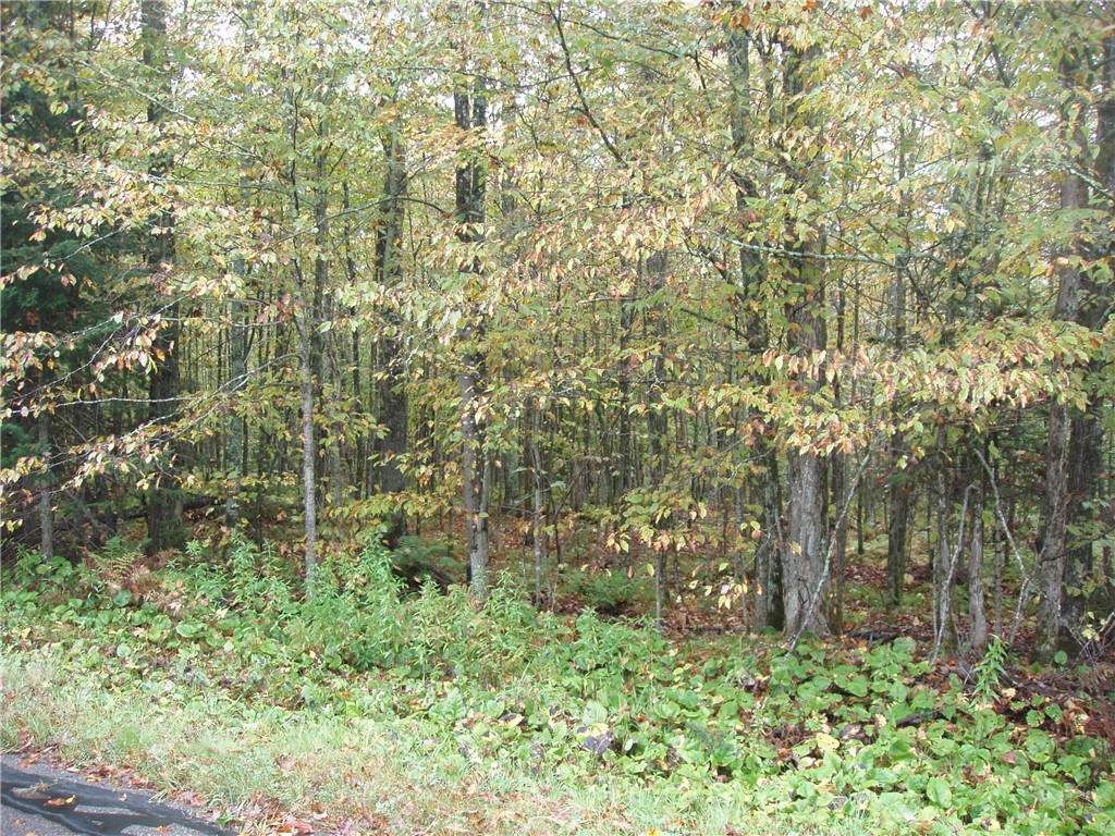 80-acres Bass Lake Road Park Falls, WI 54552 - Photo 6 of 10