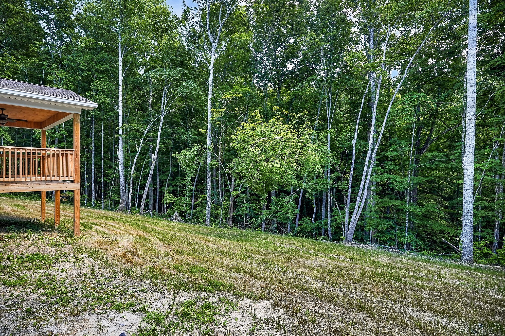 1053 Benton Tidwell Road Hilham, TN 38568 - Photo 25 of 39 a view of backyard with green space