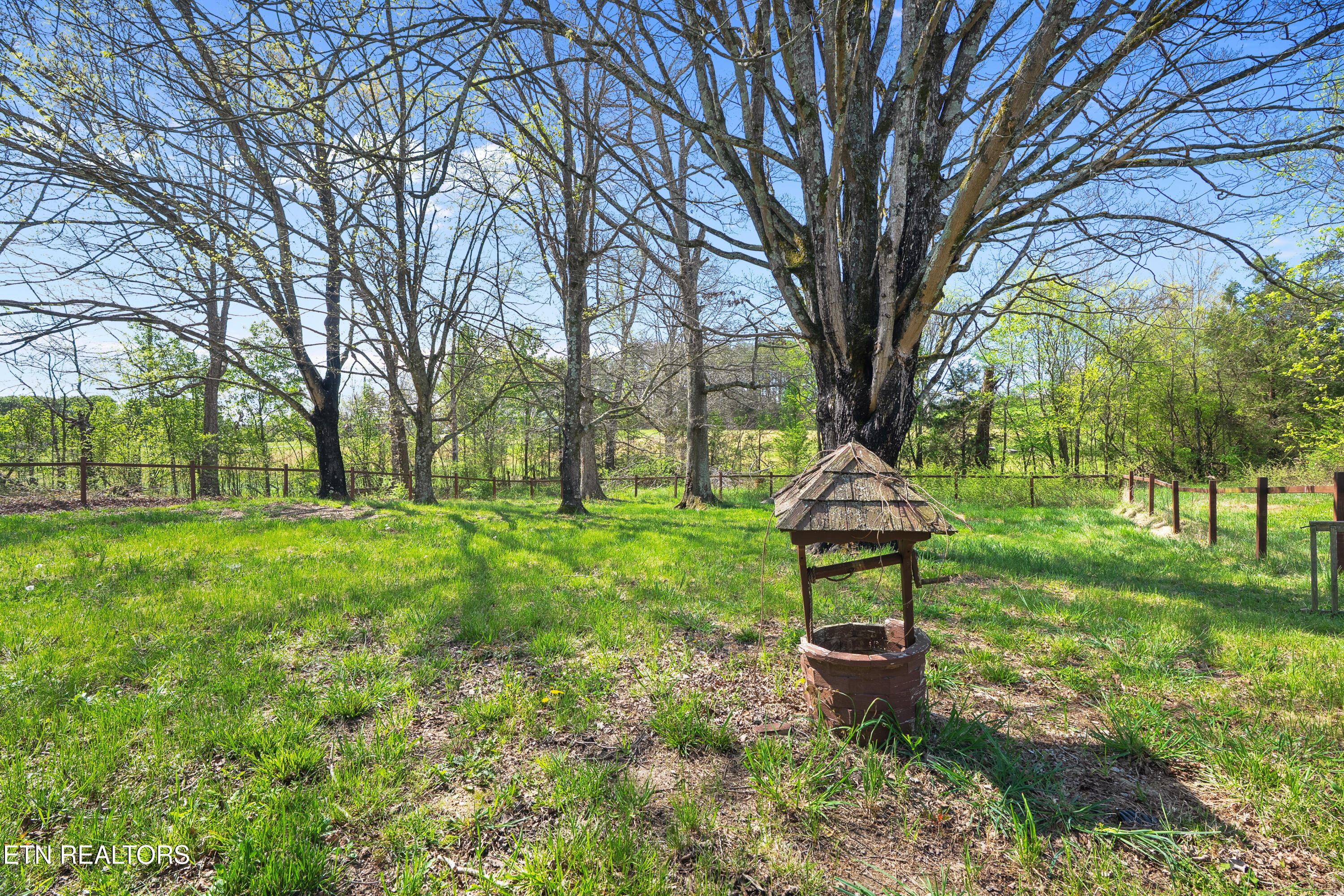 570 Stout Town Road Blaine, TN 37709 - Photo 27 of 29 dsc06307