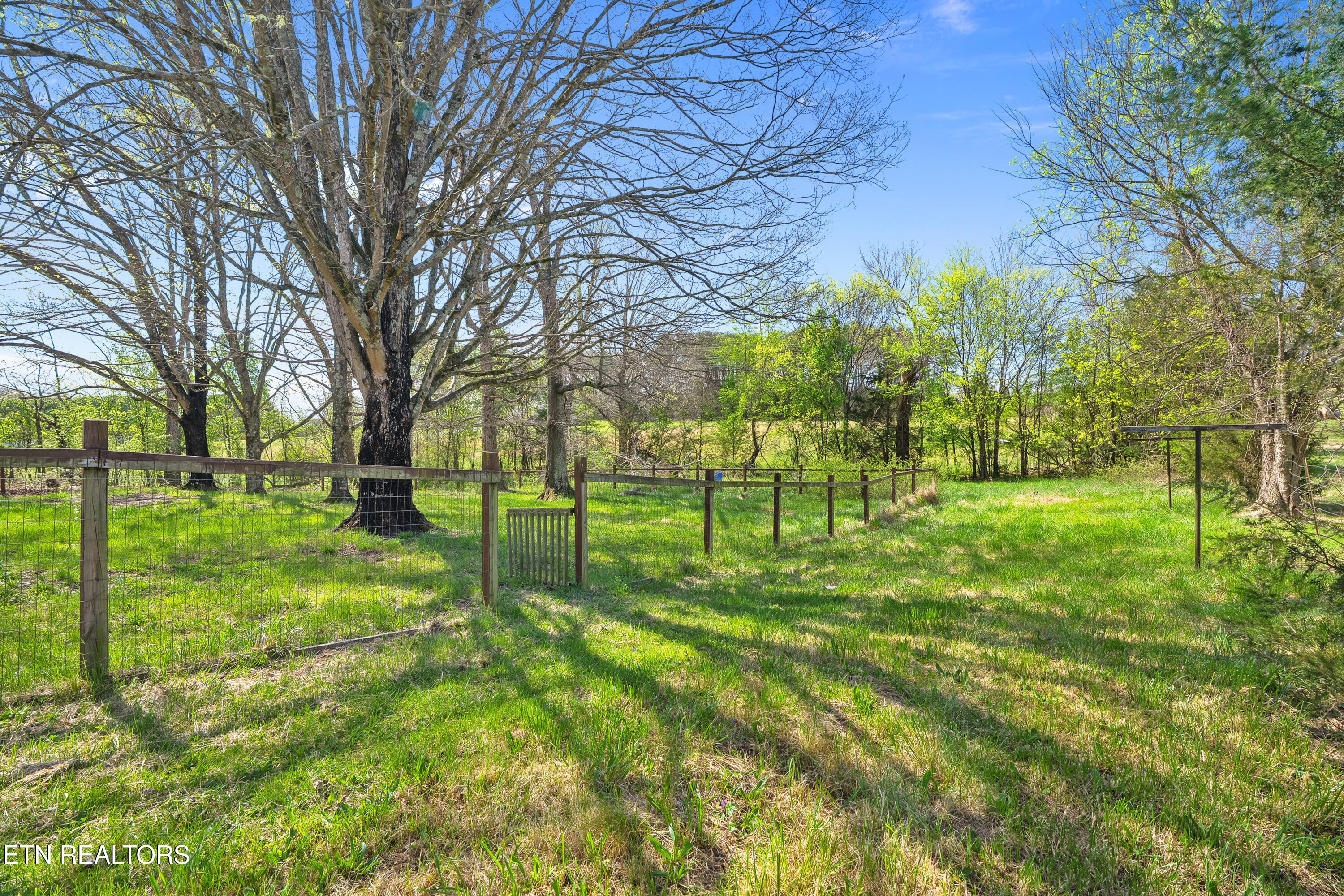 570 Stout Town Road Blaine, TN 37709 - Photo 28 of 29 dsc06317