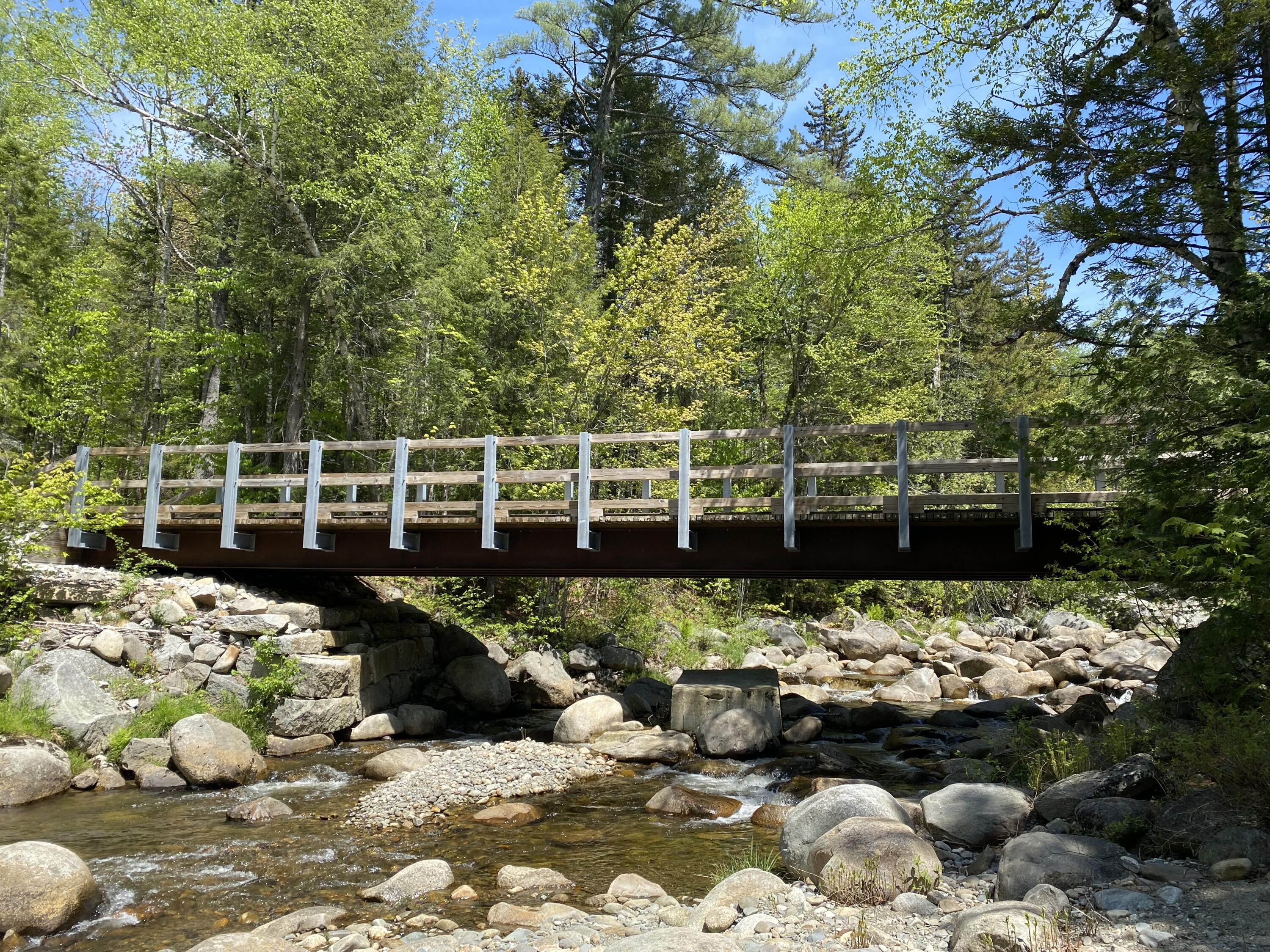 Tbd Railroad Road Madrid Township, ME 04966 - Photo 13 of 23 IMG-3216