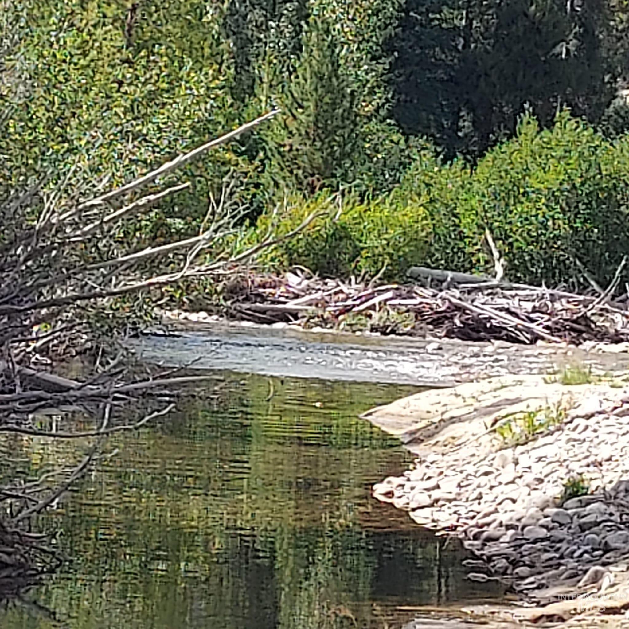 2079 Fleck Smt Fs079 Road Fairfield, ID 83327 - Photo 4 of 31