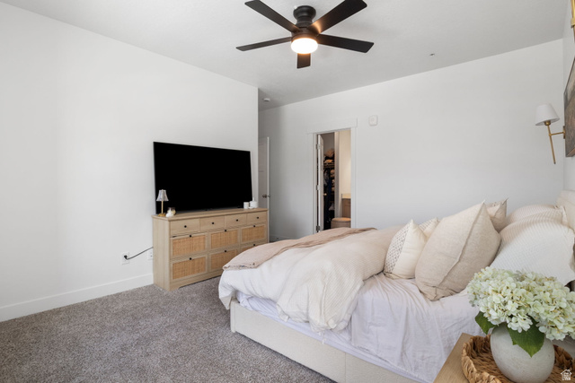 4835 Alder Drive, Unit D202 Mapleton, UT 84664 - Photo 11 of 24