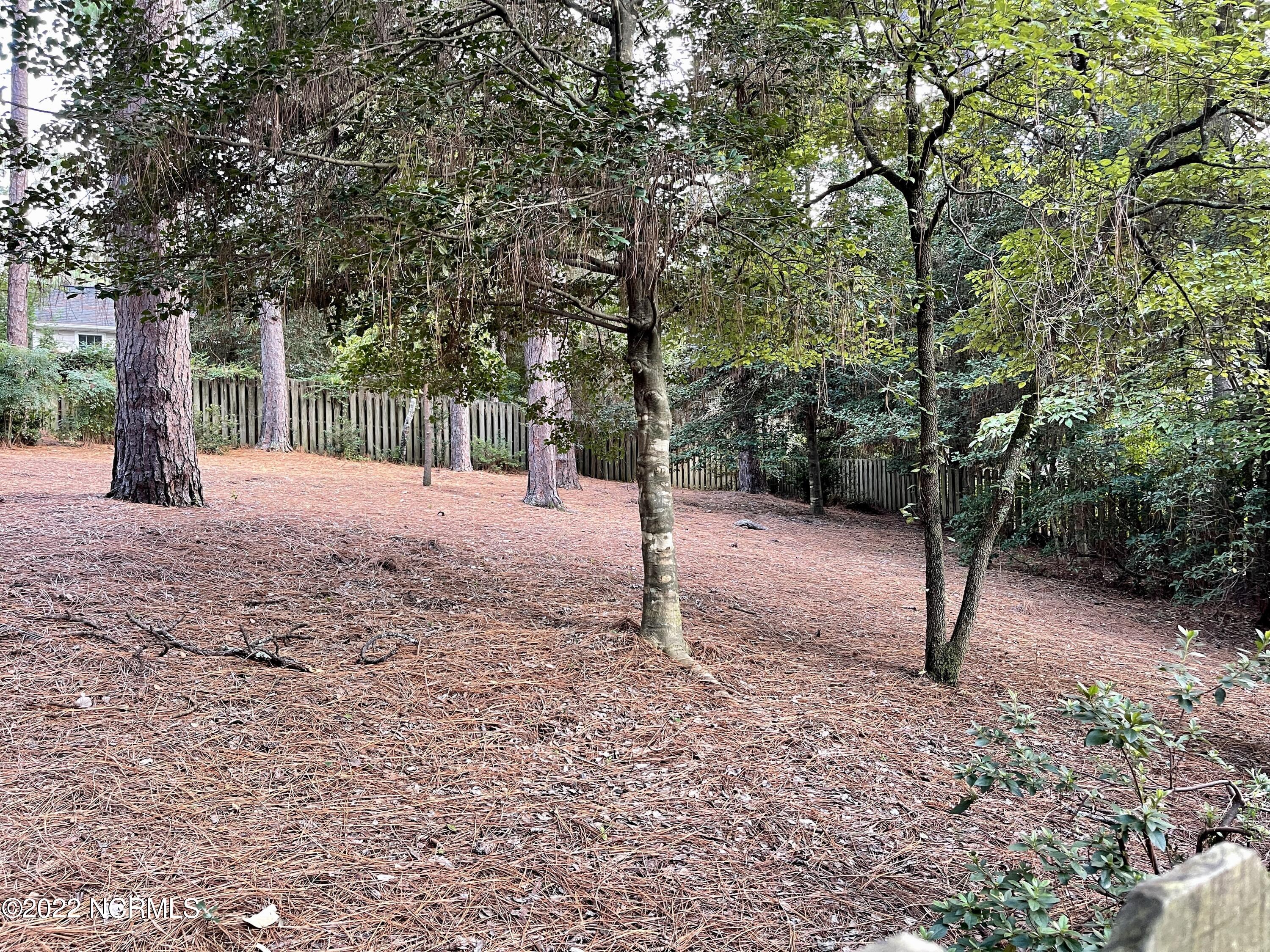 480 Crestview Road Southern Pines, NC 28387 - Photo 32 of 34 IMG_4472