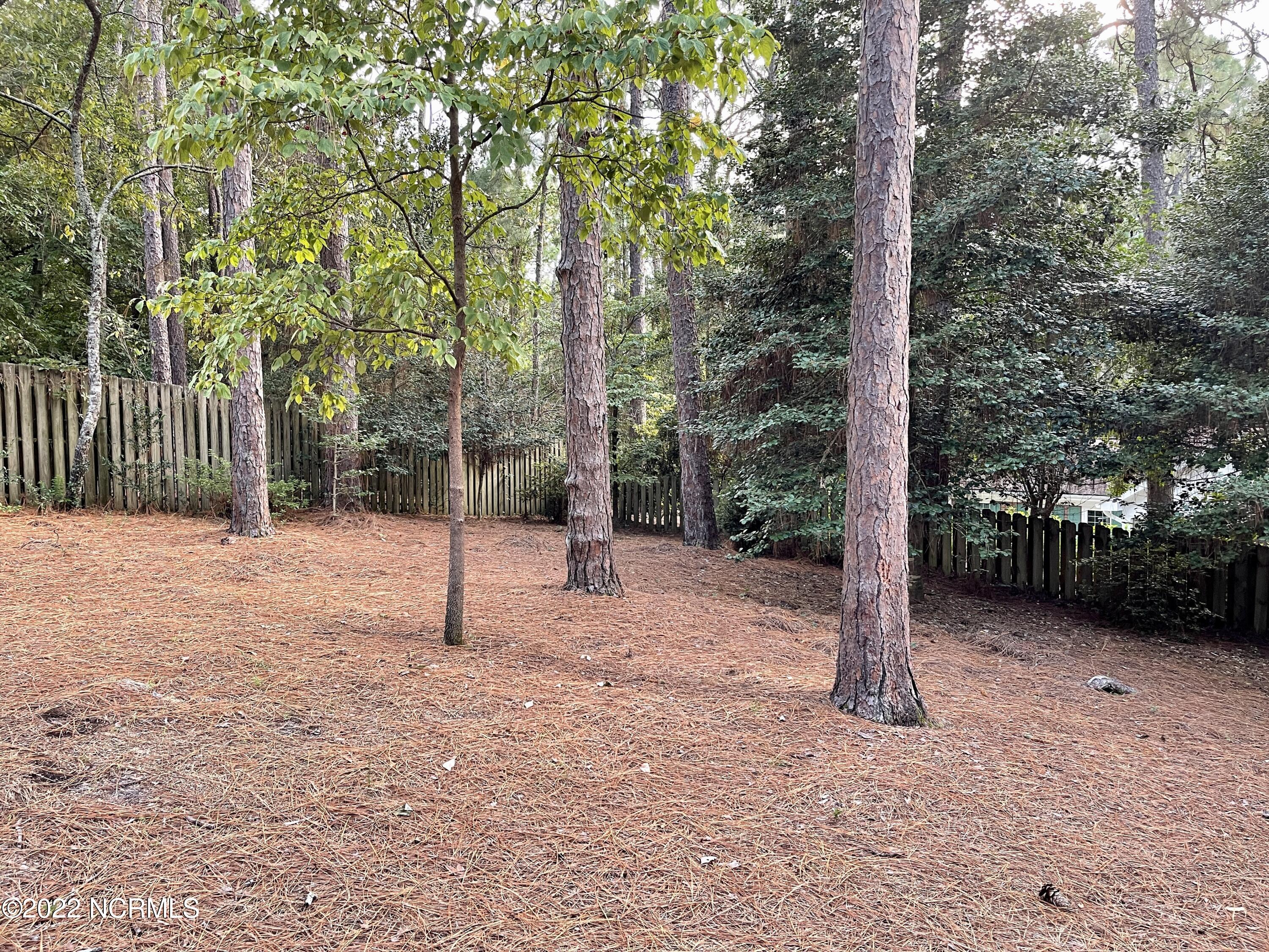 480 Crestview Road Southern Pines, NC 28387 - Photo 34 of 34 IMG_4475