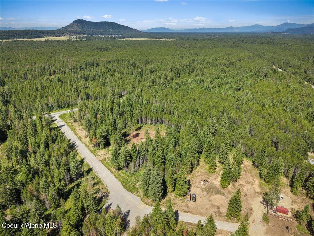 Nka West Sturgeon Road Rathdrum, ID 83858 - Photo 8 of 21 08-008_Aerial View