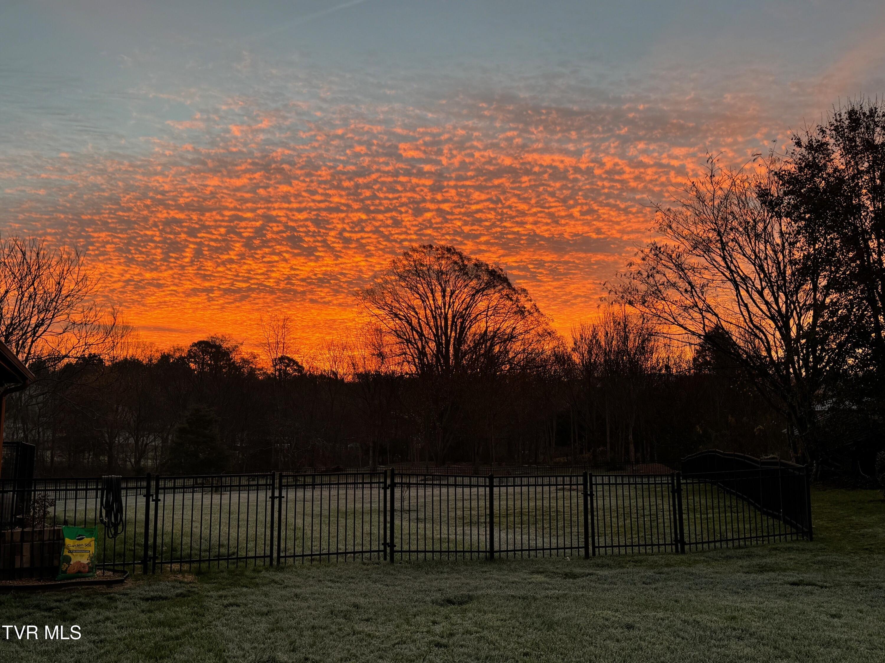 375 Middle Creek Road Afton, TN 37616 - Photo 117 of 119 Sunrise 04 - Frosty