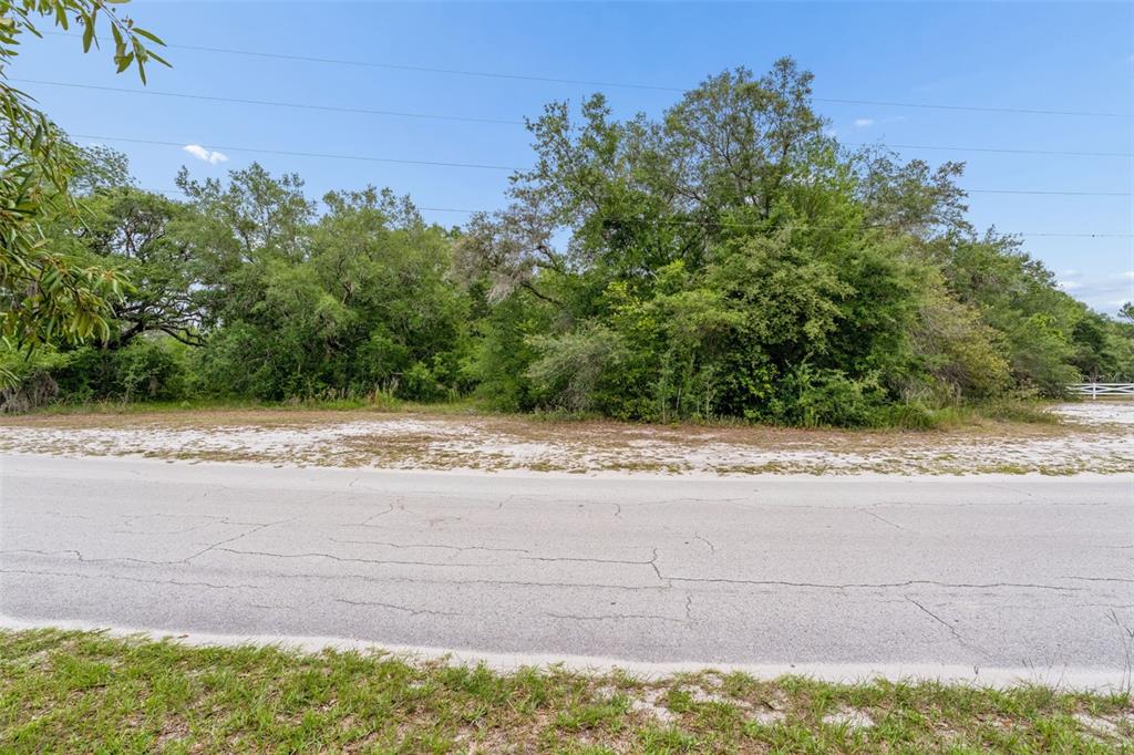 County Line Rd Spring Hill Hudson, FL 34667 - Photo 19 of 19
