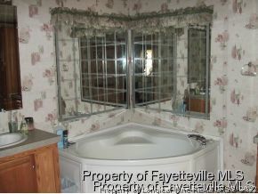 315 Brumfield Road Cameron, NC 28326 - Photo 8 of 18 a bathroom with a sink and a shower