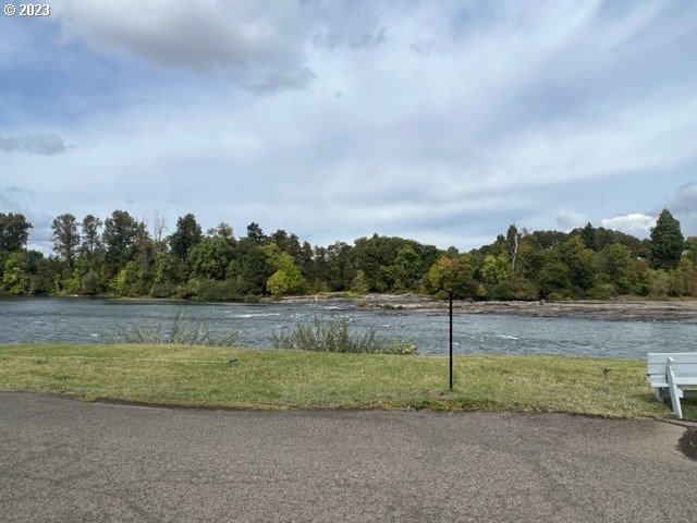 3998 Franklin Boulevard Eugene, OR 97403 - Photo 14 of 35 a view of a lake with a large trees