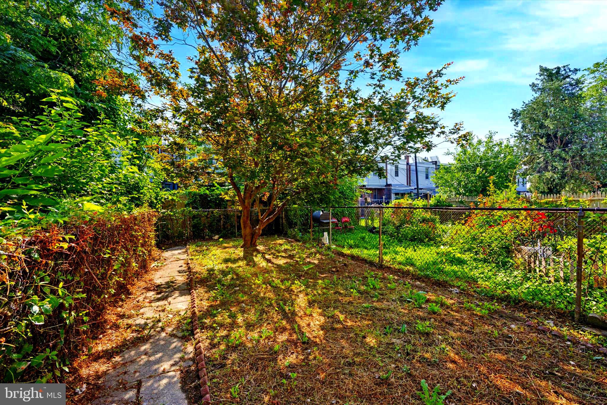 1549 North Wanamaker Street Philadelphia, PA 19131 - Photo 9 of 15 a view of a yard with plants and large trees