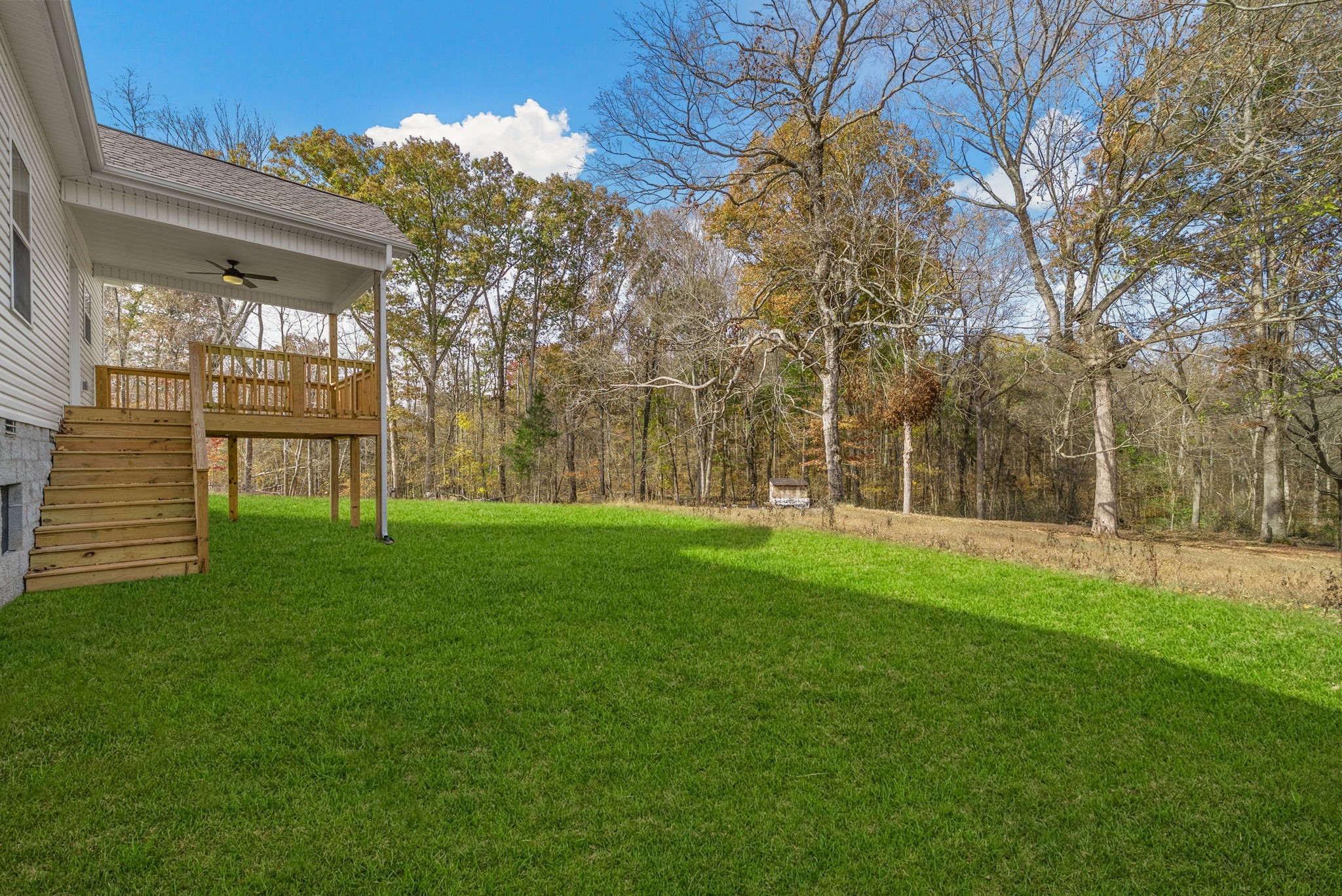 194 Dewberry Road Clarksville, TN 37042 - Photo 42 of 62 a view of a back yard